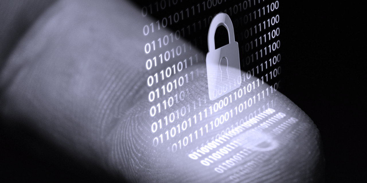 Data Privacy Regulatory Compliance: A Primer